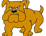 Dibuix Gos bulldog pintat per laura