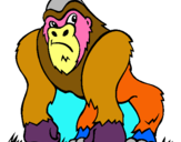 Dibuix Goril·la pintat per SOUMIYA