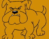 Dibuix Gos bulldog pintat per OLEGUER SANS ESQUÉ