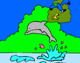 Dibuix Dofí i gavina pintat per donal