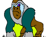 Dibuix Goril·la pintat per MODIBO