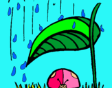 Dibuix Marieta de set punts protegida de la pluja  pintat per marieta 1