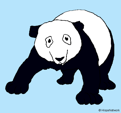 Ós panda