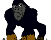 Dibuix Goril·la pintat per GUILLEM