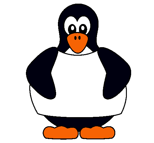 Pingüí 