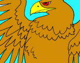 Dibuix Àguila Imperial Romana pintat per araceli...