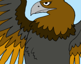 Dibuix Àguila Imperial Romana pintat per julia