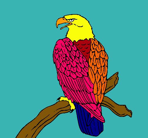 Dibuix Àguila en una branca  pintat per  gerard