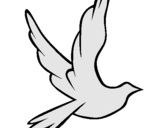 Dibuix Colom de la pau al vol  pintat per LAIA8