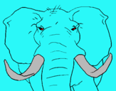 Dibuix Elefant africà pintat per ARNAU