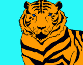 Dibuix Tigre pintat per Emma i Ona Suy Saurina