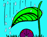 Dibuix Marieta de set punts protegida de la pluja  pintat per ASHA