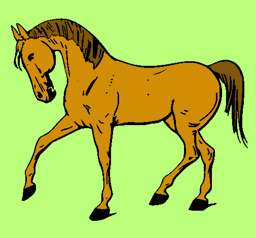 Cavall amb la pota aixecada 