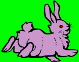 Dibuix Conill content  pintat per ona