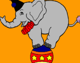 Dibuix Elefant sobre una pilota pintat per GUILLEM