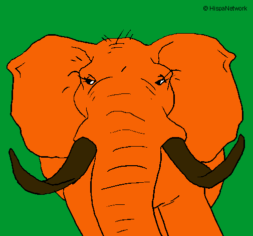 Elefant africà