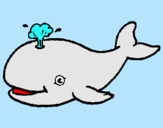 Dibuix Balena expulsant aigua pintat per MARTA DALMAU