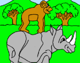 Dibuix Rinoceront i mono pintat per GUILLEM
