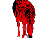 Dibuix Zebra pintat per josep
