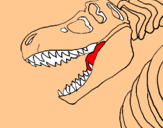 Dibuix Esquelet tiranosauri rex pintat per anònim