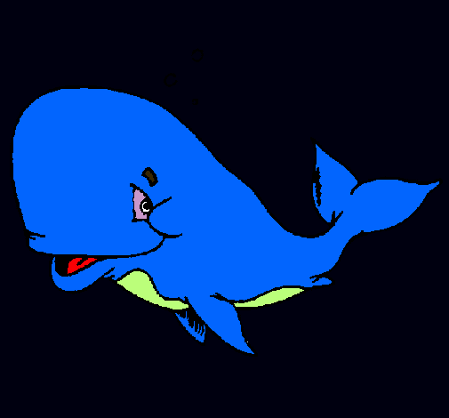 Balena tímida