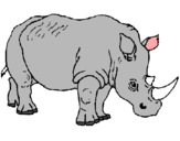 Dibuix Rinoceront pintat per ARNAU