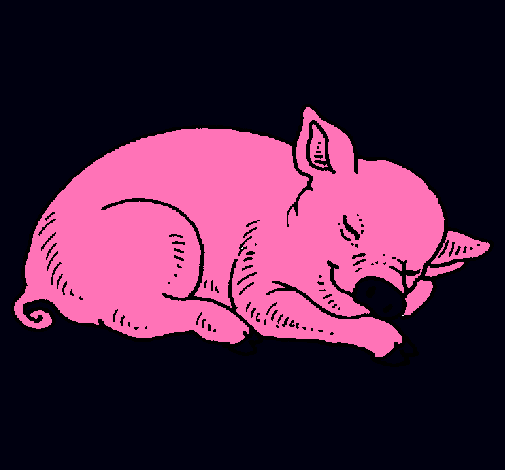 Porc dormint