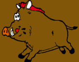 Dibuix Porc senglar pintat per GURILA