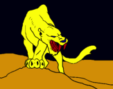 Dibuix Tigre amb afilats ullals pintat per didac2008