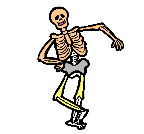 Esquelet content 