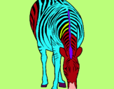 Dibuix Zebra pintat per gari.m,