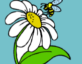 Dibuix Margarida amb abella pintat per emmagandesa