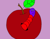 Dibuix Poma amb cuc pintat per adriano