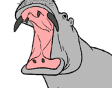 Dibuix Hipopòtam amb la boca oberta pintat per pol