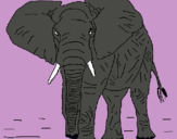 Dibuix Elefant pintat per maria fernanda portel