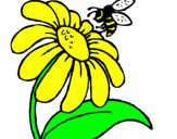 Dibuix Margarida amb abella pintat per ariadna