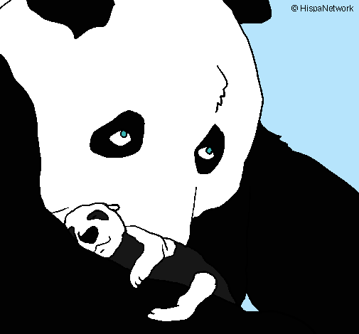 Ós panda amb el seu cria
