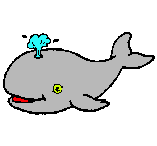 Balena expulsant aigua