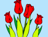 Dibuix Tulipes pintat per eloy lopez pol