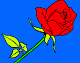 Dibuix Rosa pintat per Love