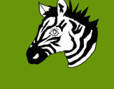 Dibuix Zebra II pintat per masde