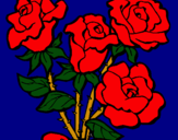 Dibuix Ram de roses pintat per refer