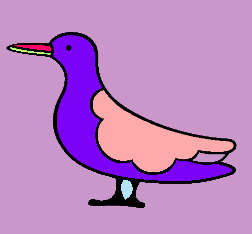 Ócell 3