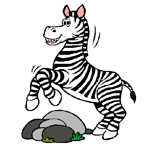 Zebra saltant pedres
