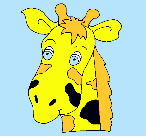 Cara de girafa