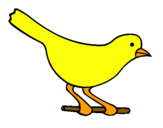 Dibuix Ócell 4 pintat per ocell groc