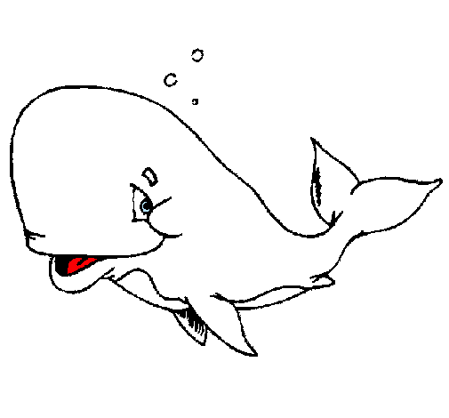 Balena tímida