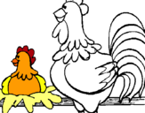 Dibuix Gall i gallina pintat per esther