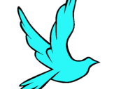 Dibuix Colom de la pau al vol  pintat per CATITAPAPITOMAMA