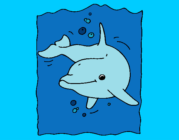 Dibuix Dofí pintat per Marina